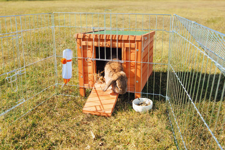 TRIXIE Kleintierhaus 42x43x51 cm